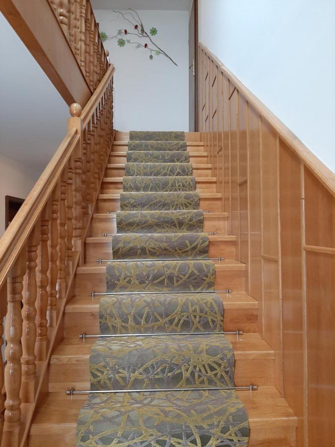 Apartmaji Tisa Moravske-Toplice Exterior foto